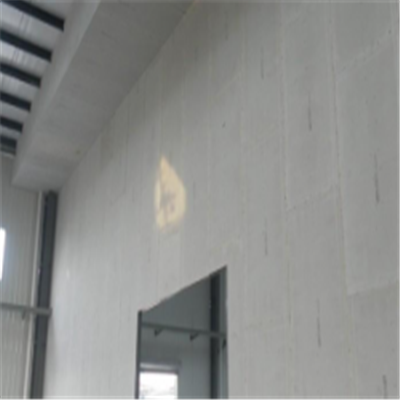 沙洋宁波ALC板|EPS加气板隔墙与混凝土整浇联接的实验研讨
